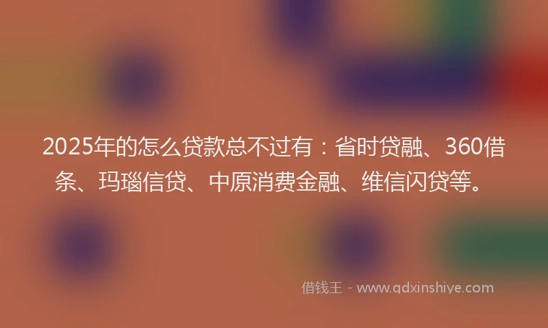 2025年的怎么贷款总不过有：省时贷融、360借条、玛瑙信贷、中原消费金融、维信闪贷等。
