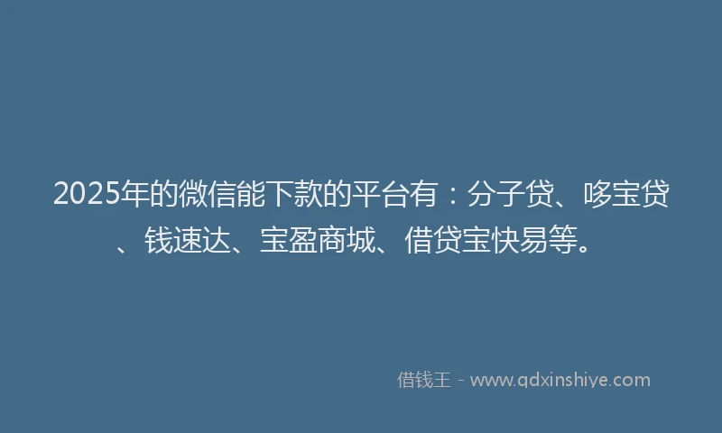 2025年的微信能下款的平台有：分子贷、哆宝贷、钱速达、宝盈商城、借贷宝快易等。