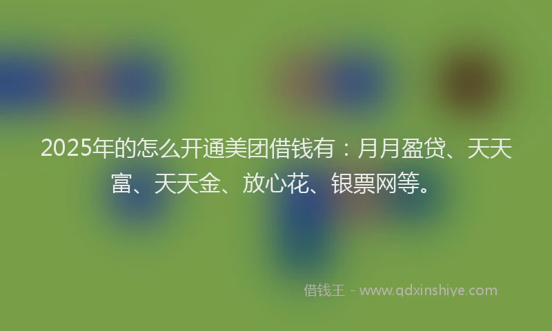 2025年的怎么开通美团借钱有：月月盈贷、天天富、天天金、放心花、银票网等。