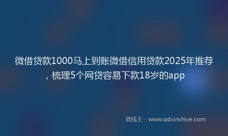 微借贷款1000马上到账微借信用贷款2025年推荐，梳理5个网贷容易下款18岁的app