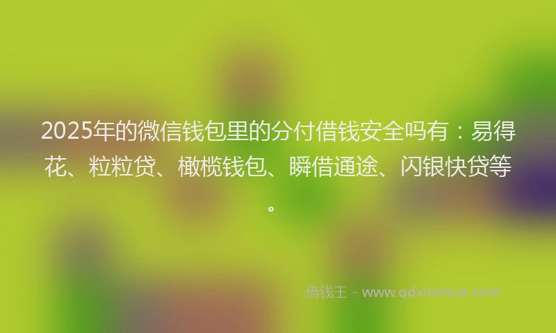 2025年的微信钱包里的分付借钱安全吗有：易得花、粒粒贷、橄榄钱包、瞬借通途、闪银快贷等。