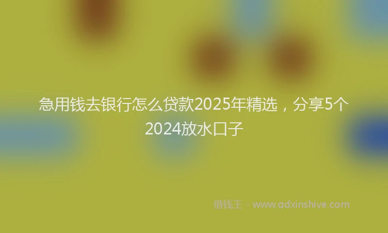 急用钱去银行怎么贷款2025年精选，分享5个2024放水口子