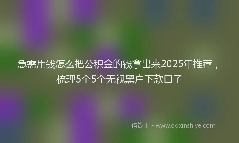 急需用钱怎么把公积金的钱拿出来2025年推荐，梳理5个5个无视黑户下款口子