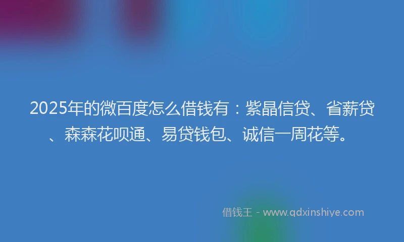 2025年的微百度怎么借钱有：紫晶信贷、省薪贷、森森花呗通、易贷钱包、诚信一周花等。