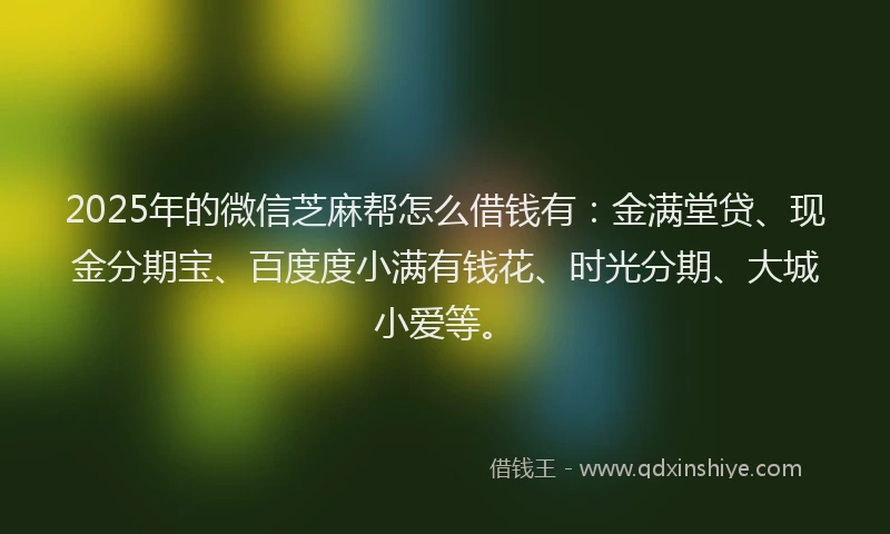 2025年的微信芝麻帮怎么借钱有：金满堂贷、现金分期宝、百度度小满有钱花、时光分期、大城小爱等。