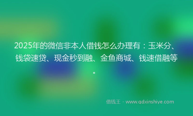2025年的微信非本人借钱怎么办理有：玉米分、钱袋速贷、现金秒到融、金鱼商城、钱速借融等。