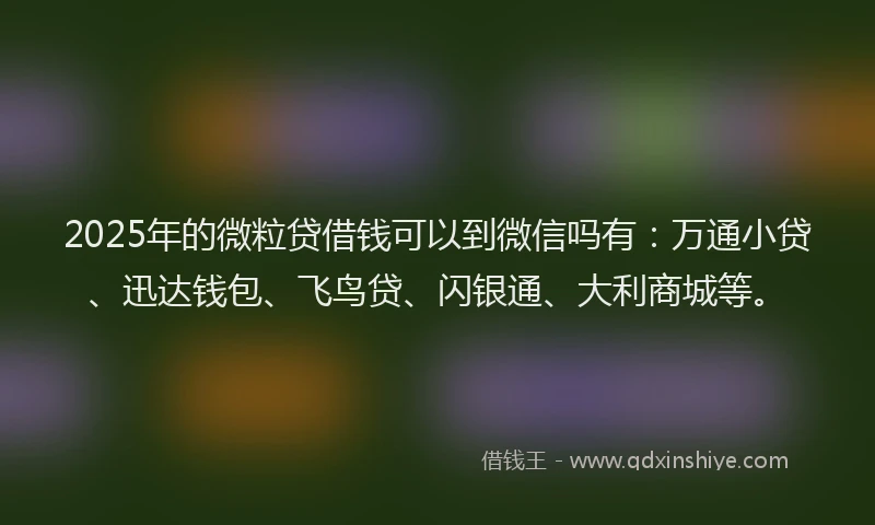 2025年的微粒贷借钱可以到微信吗有：万通小贷、迅达钱包、飞鸟贷、闪银通、大利商城等。