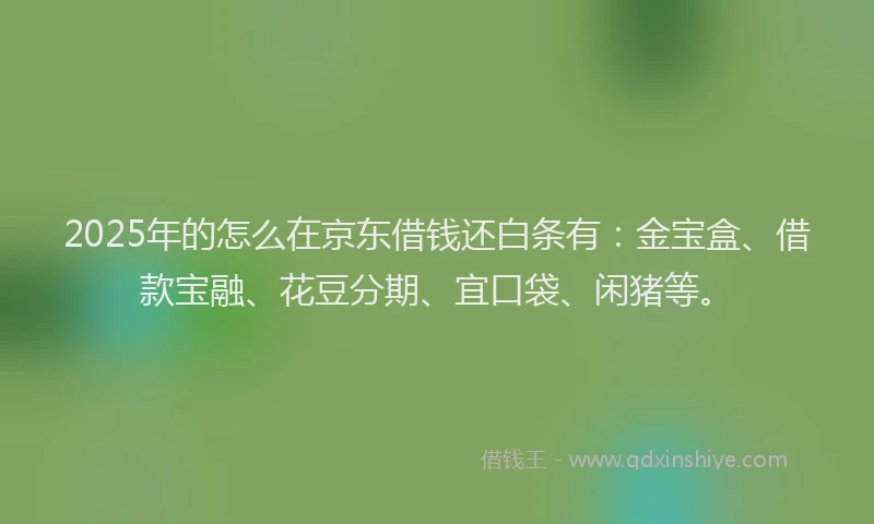 2025年的怎么在京东借钱还白条有：金宝盒、借款宝融、花豆分期、宜口袋、闲猪等。