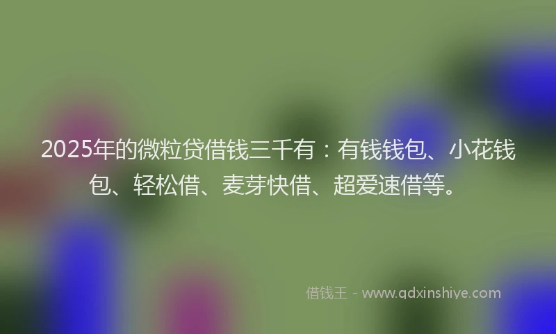 2025年的微粒贷借钱三千有：有钱钱包、小花钱包、轻松借、麦芽快借、超爱速借等。