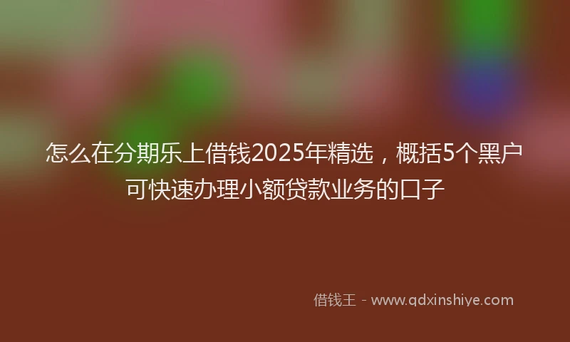 怎么在分期乐上借钱2025年精选，概括5个黑户可快速办理小额贷款业务的口子