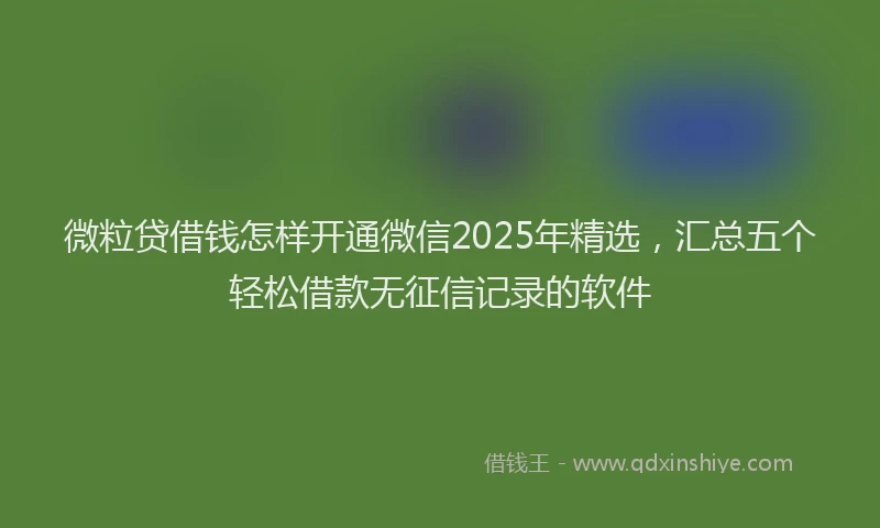 微粒贷借钱怎样开通微信2025年精选，汇总五个轻松借款无征信记录的软件