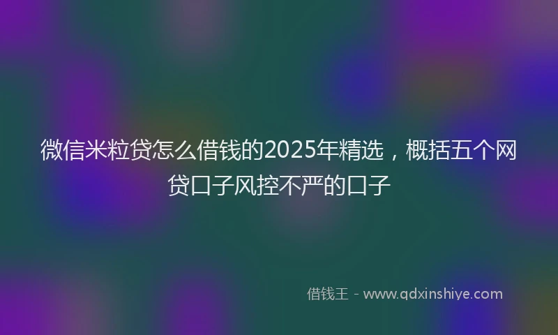 微信米粒贷怎么借钱的2025年精选，概括五个网贷口子风控不严的口子