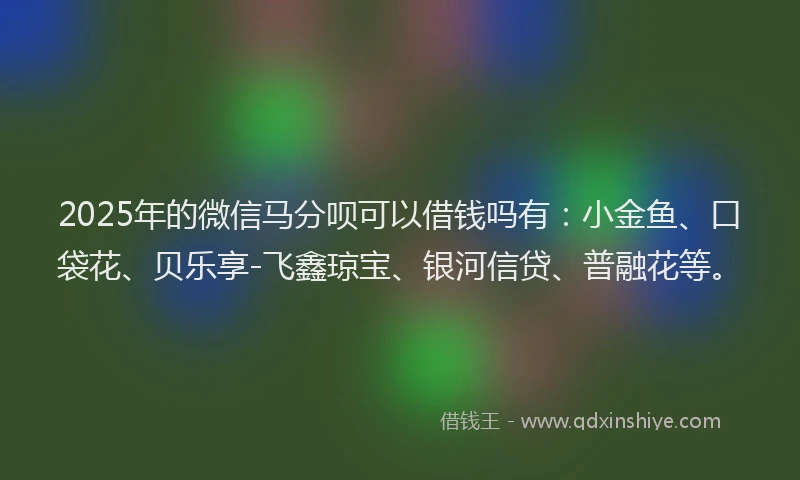 2025年的微信马分呗可以借钱吗有：小金鱼、口袋花、贝乐享-飞鑫琼宝、银河信贷、普融花等。