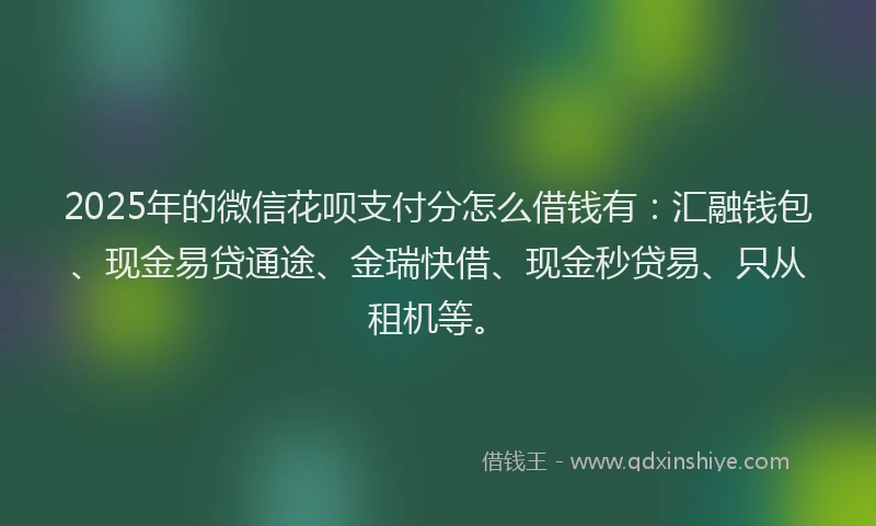 2025年的微信花呗支付分怎么借钱有：汇融钱包、现金易贷通途、金瑞快借、现金秒贷易、只从租机等。