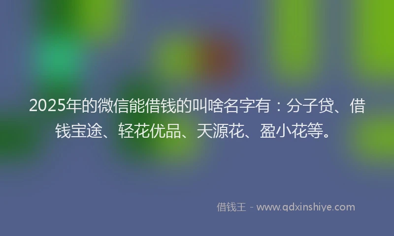 2025年的微信能借钱的叫啥名字有：分子贷、借钱宝途、轻花优品、天源花、盈小花等。