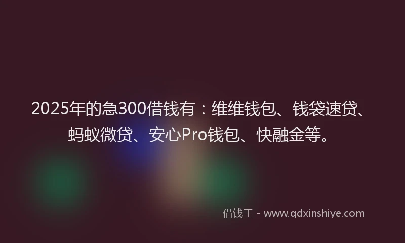 2025年的急300借钱有：维维钱包、钱袋速贷、蚂蚁微贷、安心Pro钱包、快融金等。