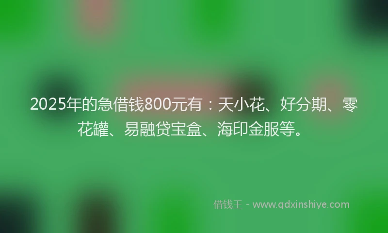 2025年的急借钱800元有：天小花、好分期、零花罐、易融贷宝盒、海印金服等。