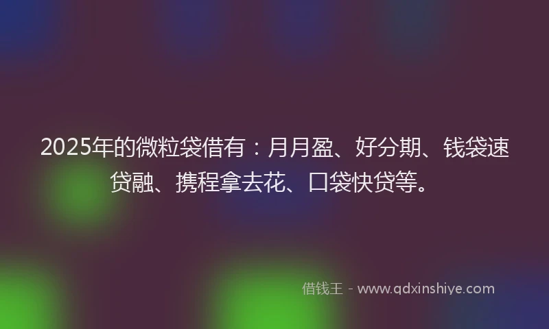 2025年的微粒袋借有：月月盈、好分期、钱袋速贷融、携程拿去花、口袋快贷等。