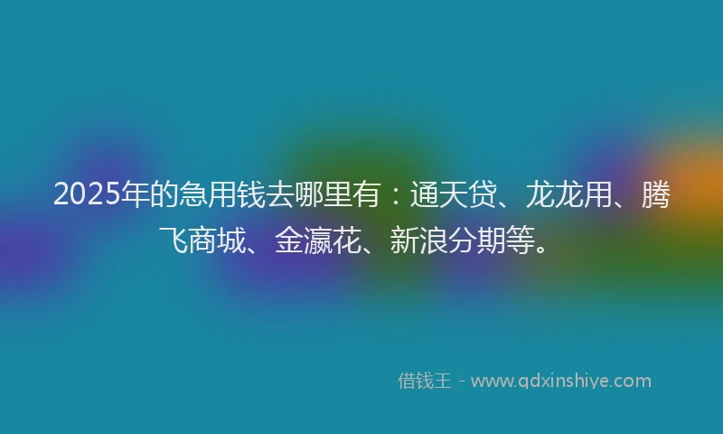 2025年的急用钱去哪里有：通天贷、龙龙用、腾飞商城、金瀛花、新浪分期等。
