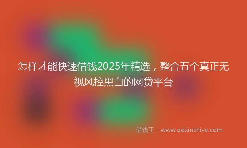 怎样才能快速借钱2025年精选，整合五个真正无视风控黑白的网贷平台