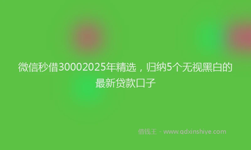 微信秒借30002025年精选，归纳5个无视黑白的最新贷款口子