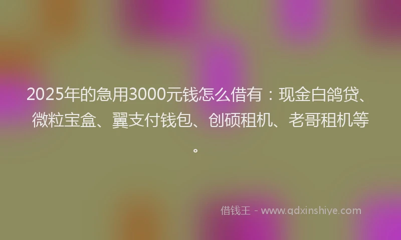 2025年的急用3000元钱怎么借有：现金白鸽贷、微粒宝盒、翼支付钱包、创硕租机、老哥租机等。