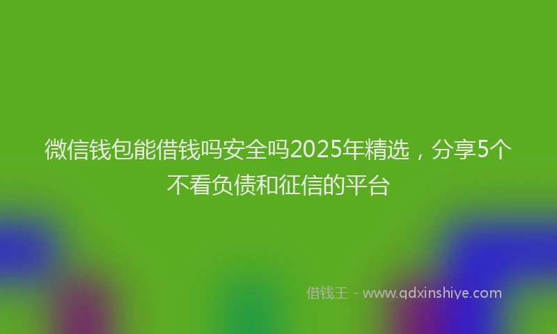 微信钱包能借钱吗安全吗2025年精选，分享5个不看负债和征信的平台