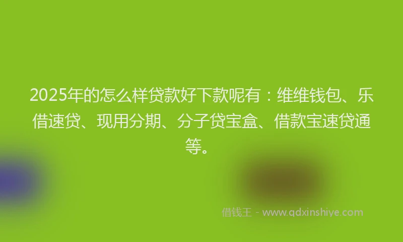 2025年的怎么样贷款好下款呢有：维维钱包、乐借速贷、现用分期、分子贷宝盒、借款宝速贷通等。
