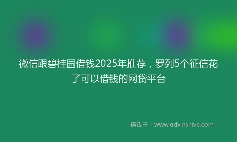 微信跟碧桂园借钱2025年推荐，罗列5个征信花了可以借钱的网贷平台