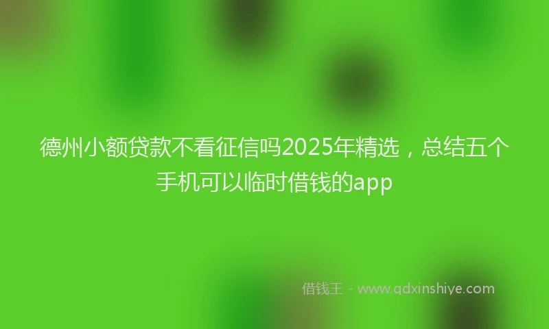 德州小额贷款不看征信吗2025年精选，总结五个手机可以临时借钱的app