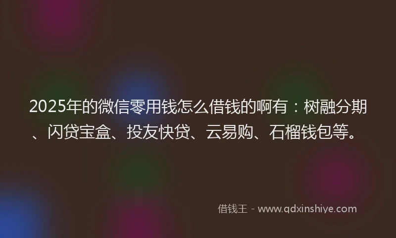 2025年的微信零用钱怎么借钱的啊有：树融分期、闪贷宝盒、投友快贷、云易购、石榴钱包等。