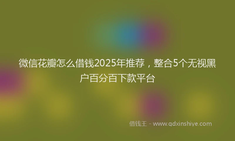 微信花瓣怎么借钱2025年推荐，整合5个无视黑户百分百下款平台