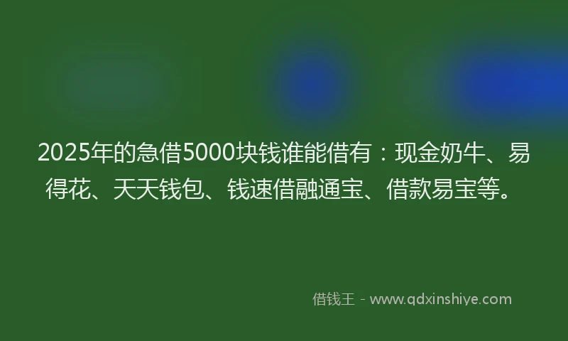 2025年的急借5000块钱谁能借有：现金奶牛、易得花、天天钱包、钱速借融通宝、借款易宝等。