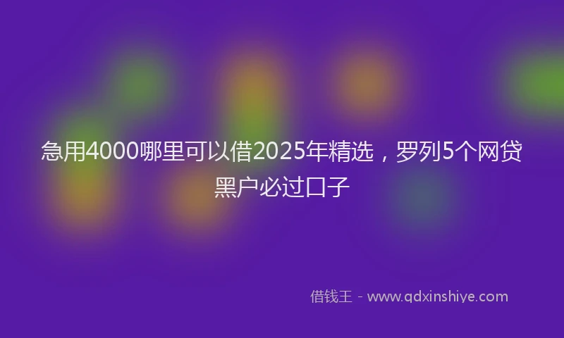 急用4000哪里可以借2025年精选，罗列5个网贷黑户必过口子