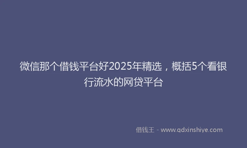 微信那个借钱平台好2025年精选，概括5个看银行流水的网贷平台