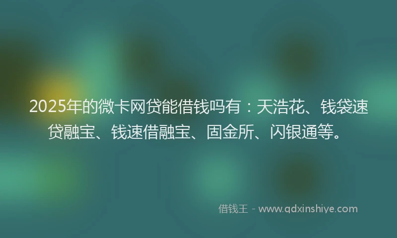 2025年的微卡网贷能借钱吗有：天浩花、钱袋速贷融宝、钱速借融宝、固金所、闪银通等。
