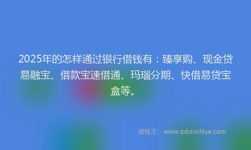 2025年的怎样通过银行借钱有：臻享购、现金贷易融宝、借款宝速借通、玛瑙分期、快借易贷宝盒等。