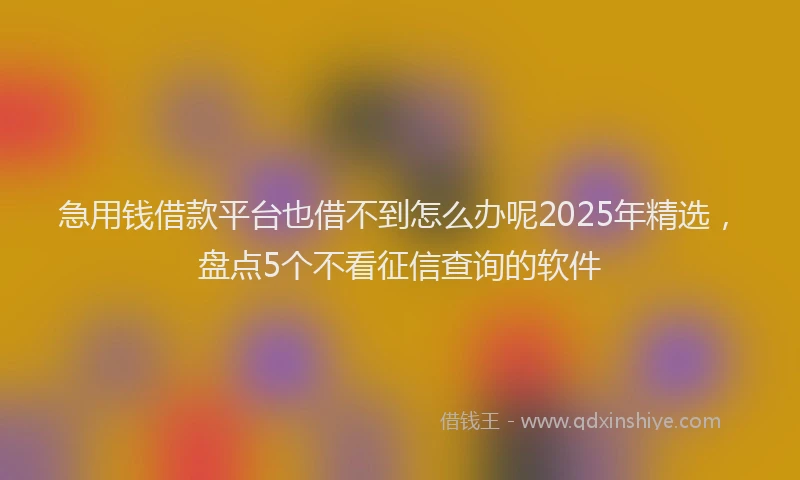急用钱借款平台也借不到怎么办呢2025年精选，盘点5个不看征信查询的软件