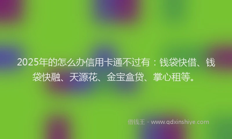2025年的怎么办信用卡通不过有：钱袋快借、钱袋快融、天源花、金宝盒贷、掌心租等。