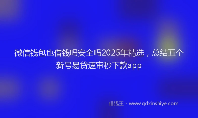 微信钱包也借钱吗安全吗2025年精选，总结五个新号易贷速审秒下款app