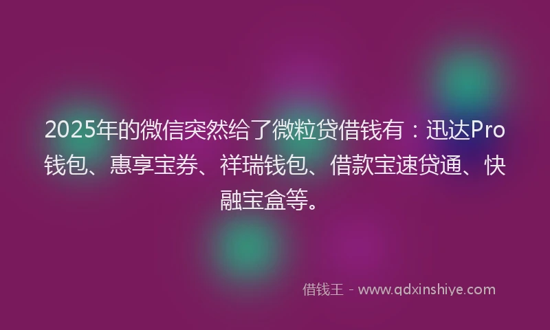 2025年的微信突然给了微粒贷借钱有：迅达Pro钱包、惠享宝券、祥瑞钱包、借款宝速贷通、快融宝盒等。