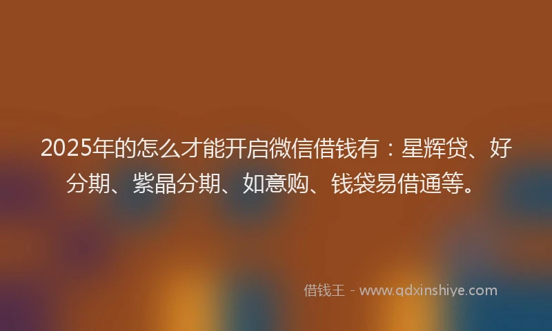 2025年的怎么才能开启微信借钱有：星辉贷、好分期、紫晶分期、如意购、钱袋易借通等。