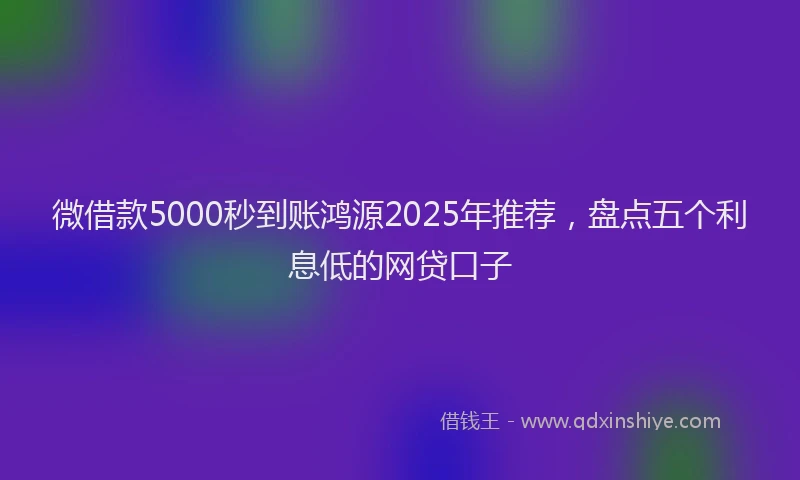微借款5000秒到账鸿源2025年推荐，盘点五个利息低的网贷口子