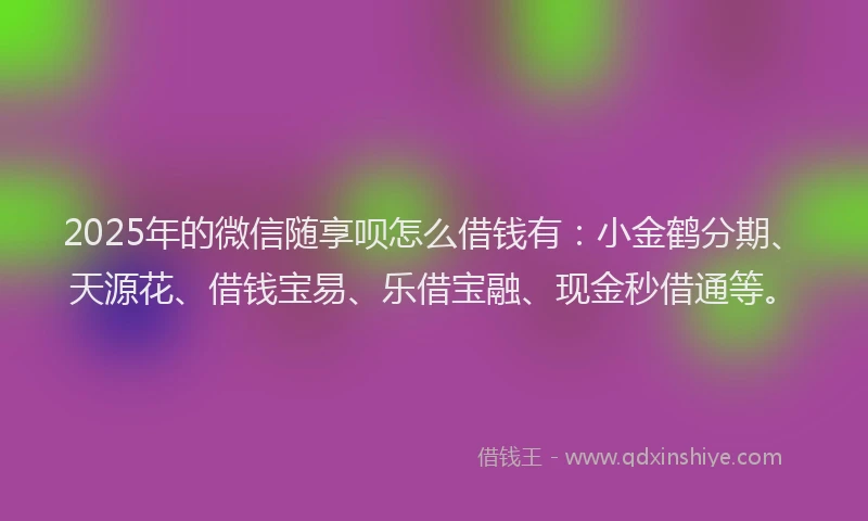 2025年的微信随享呗怎么借钱有：小金鹤分期、天源花、借钱宝易、乐借宝融、现金秒借通等。