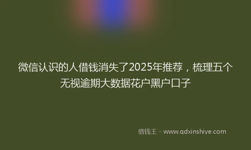 微信认识的人借钱消失了2025年推荐，梳理五个无视逾期大数据花户黑户口子