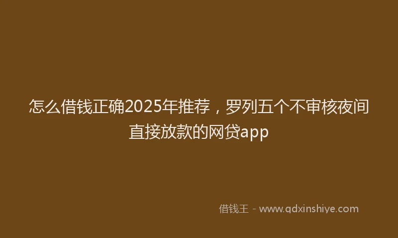 怎么借钱正确2025年推荐，罗列五个不审核夜间直接放款的网贷app