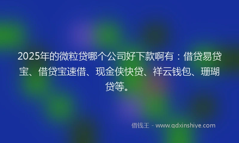 2025年的微粒贷哪个公司好下款啊有：借贷易贷宝、借贷宝速借、现金侠快贷、祥云钱包、珊瑚贷等。