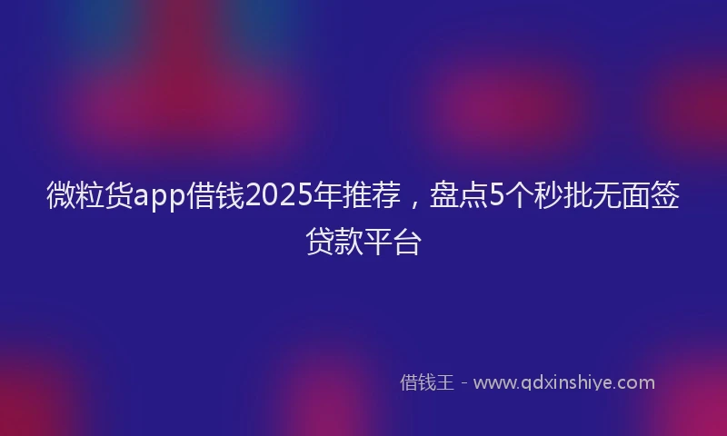 微粒货app借钱2025年推荐，盘点5个秒批无面签贷款平台