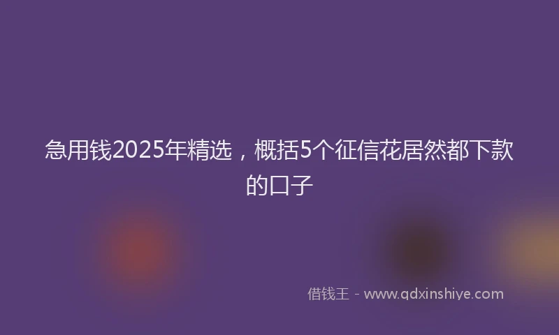 急用钱2025年精选，概括5个征信花居然都下款的口子