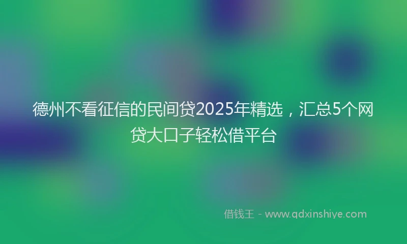 德州不看征信的民间贷2025年精选，汇总5个网贷大口子轻松借平台